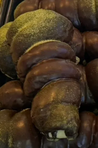 초코나무숲 소라빠앙