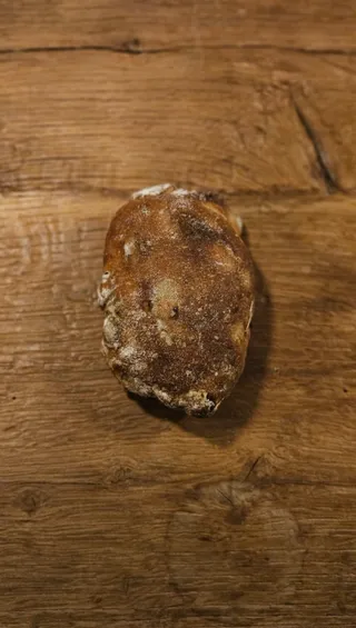 코토오