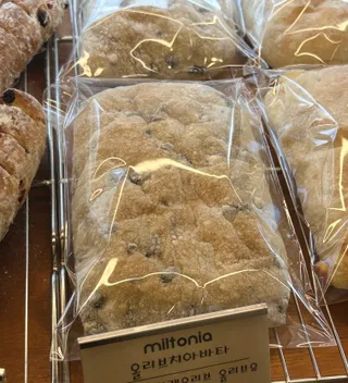 올리브치아바타