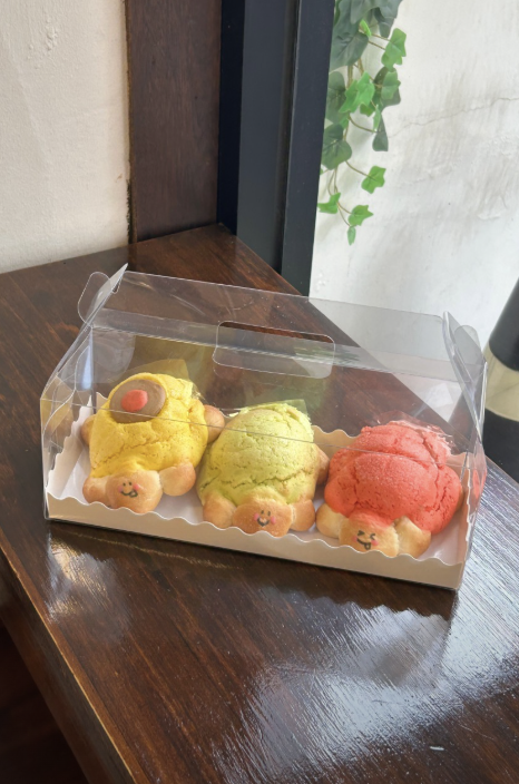 거북이3구 선물세트