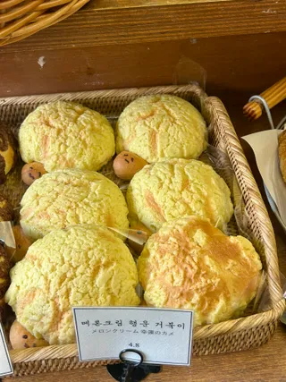 메론 행운 거북이