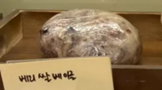 베리쌀베이글