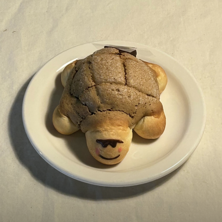 태닝한 쪼코 빵빵이